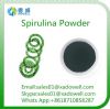 spirulina powder