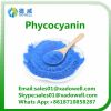 100% natural food grade phycocyanin powder