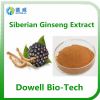high quality siberian ginseng extract