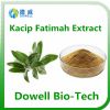 natural top quality female kacip fatimah extract